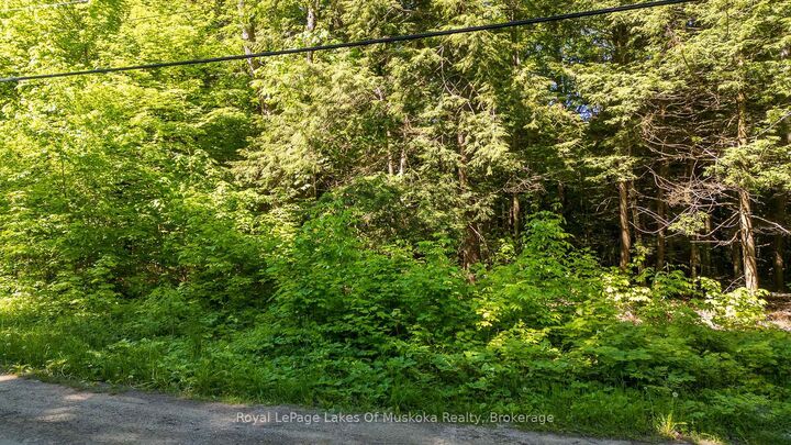 Property Photo:  1061 South Muldrew Lake Road  ON P0E 1G0 