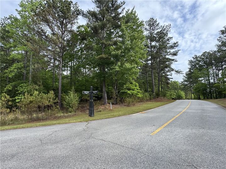 Property Photo:  Lot 16 Cliffs Vista Parkway  SC 29682 
