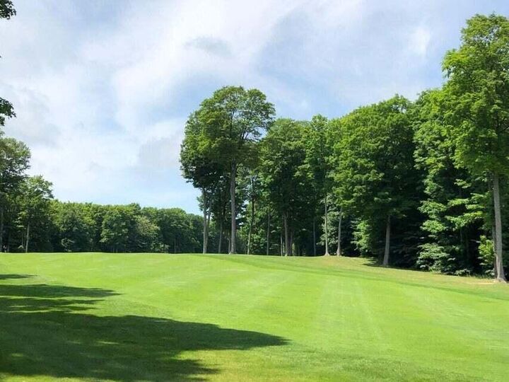 Property Photo: 1975 &Amp1995 Clubhouse Drive MI 49740