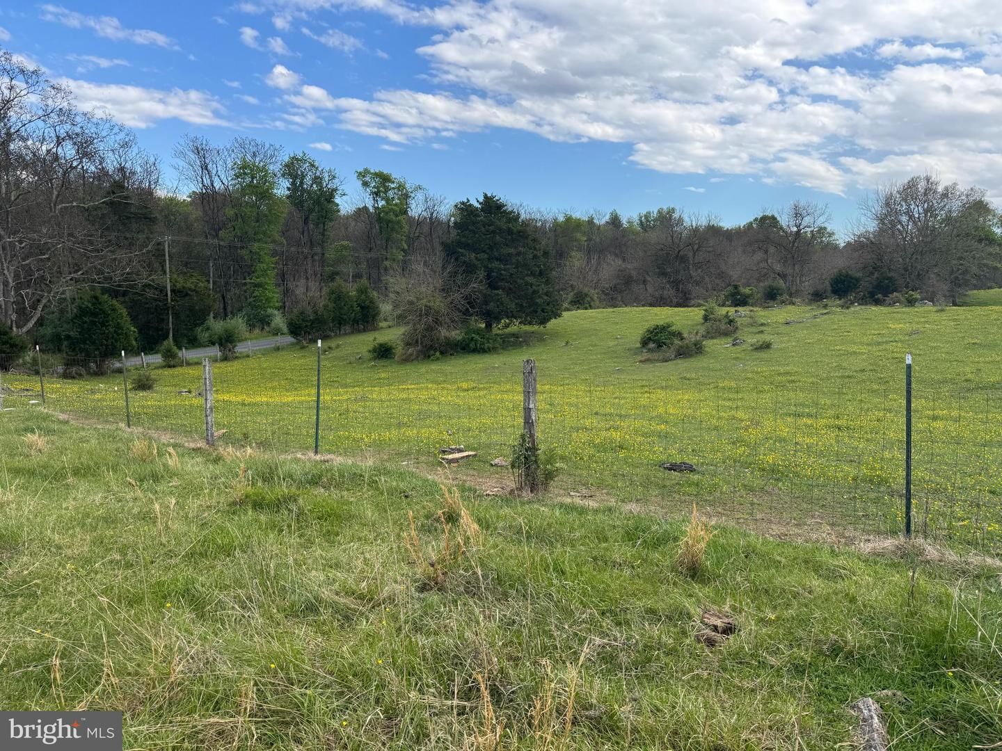 Property Photo:  8.03 Acres Whitings Neck Road  WV 25404 