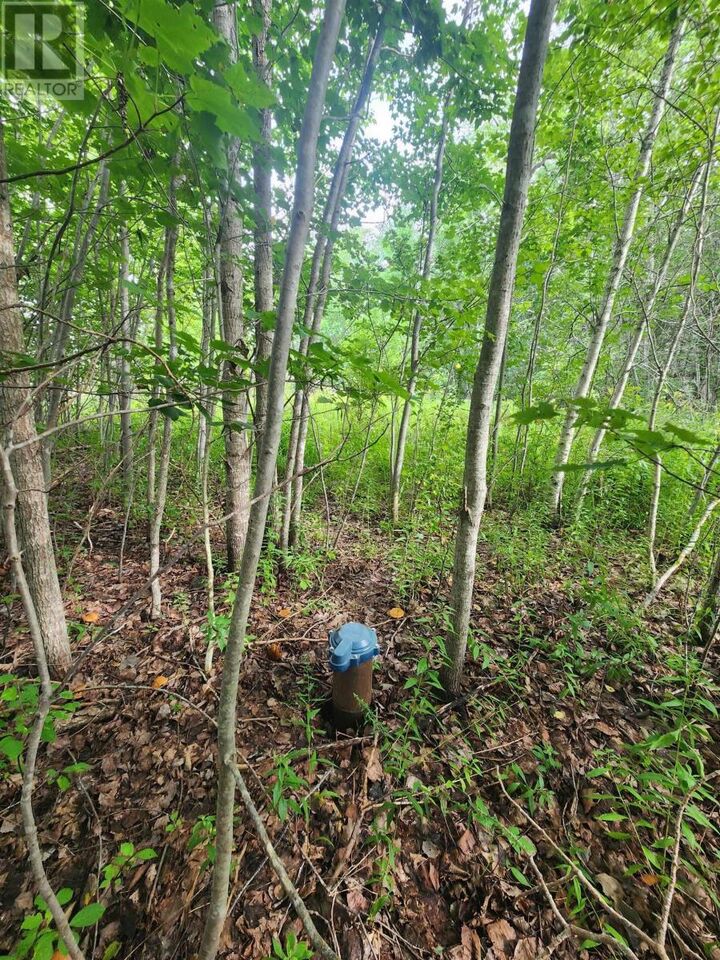 Property Photo:  Lot Highway 215  NS B0N 1T0 