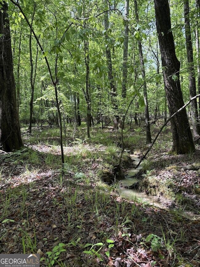 Property Photo:  0 Roy Dean Road  GA 30113 