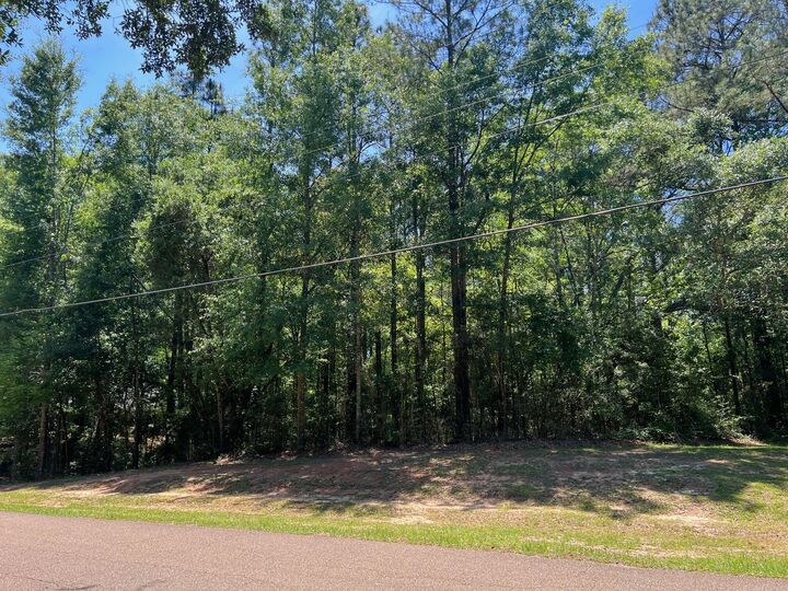 Property Photo: Lot 5-B Angler'S Point MS 39455