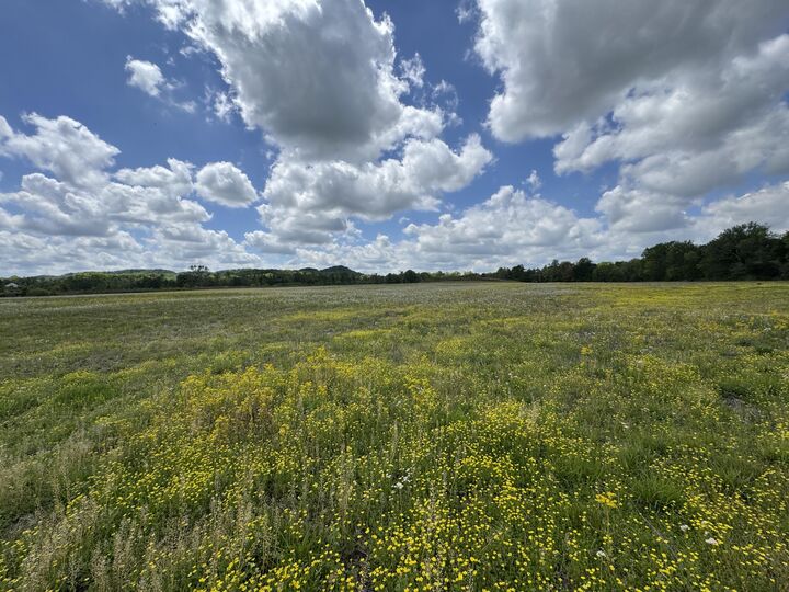 Property Photo:  1064 Kentucky 39  KY 40419 