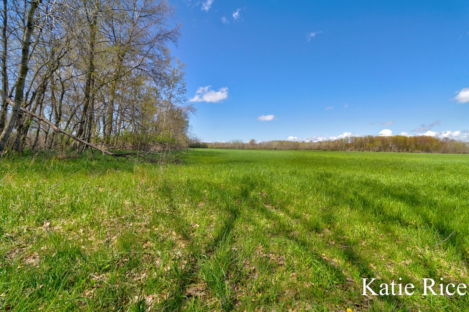 Property Photo:  Vl S 96th Avenue  MI 49452 
