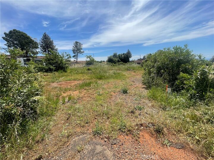 Property Photo:  4624 Skyway  CA 95969 