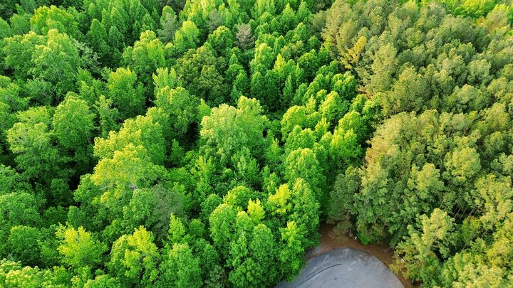 Property Photo:  0 Allen Bend Rd  TN 37166 