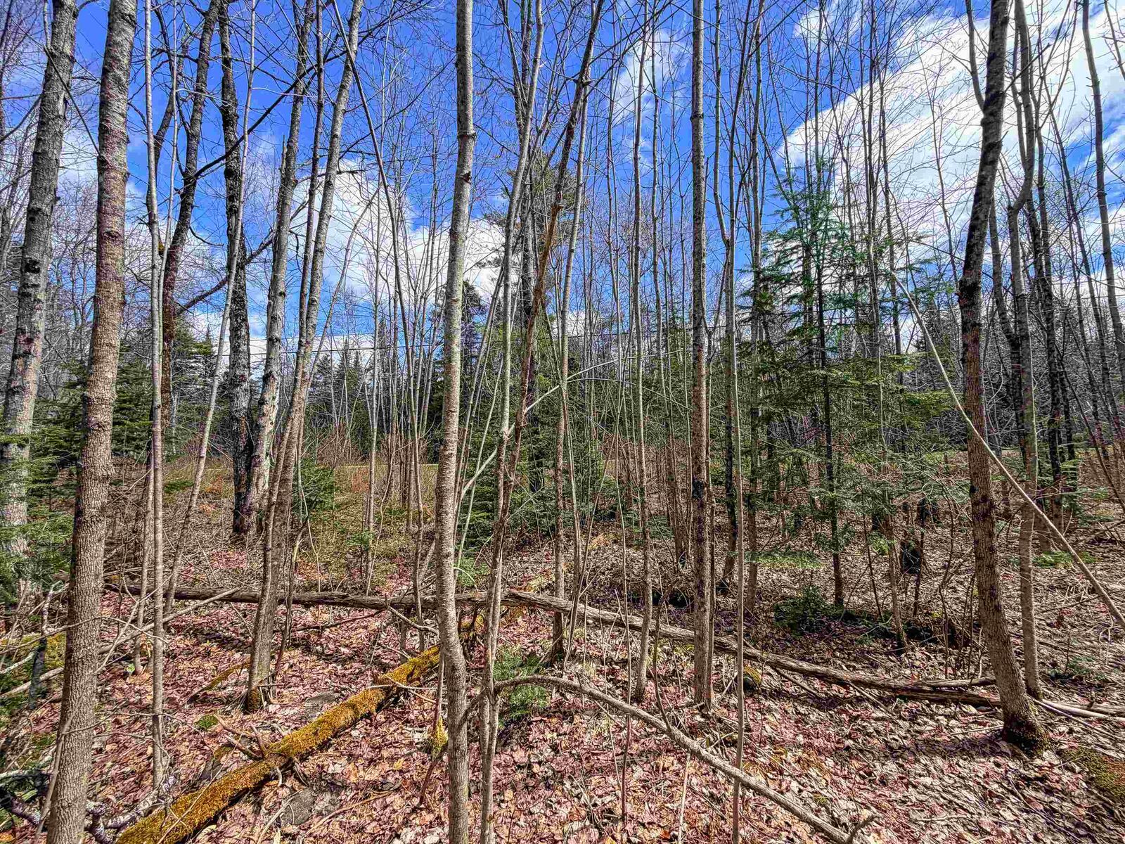 Property Photo:  Lot 4 Oregon Road  VT 05824 