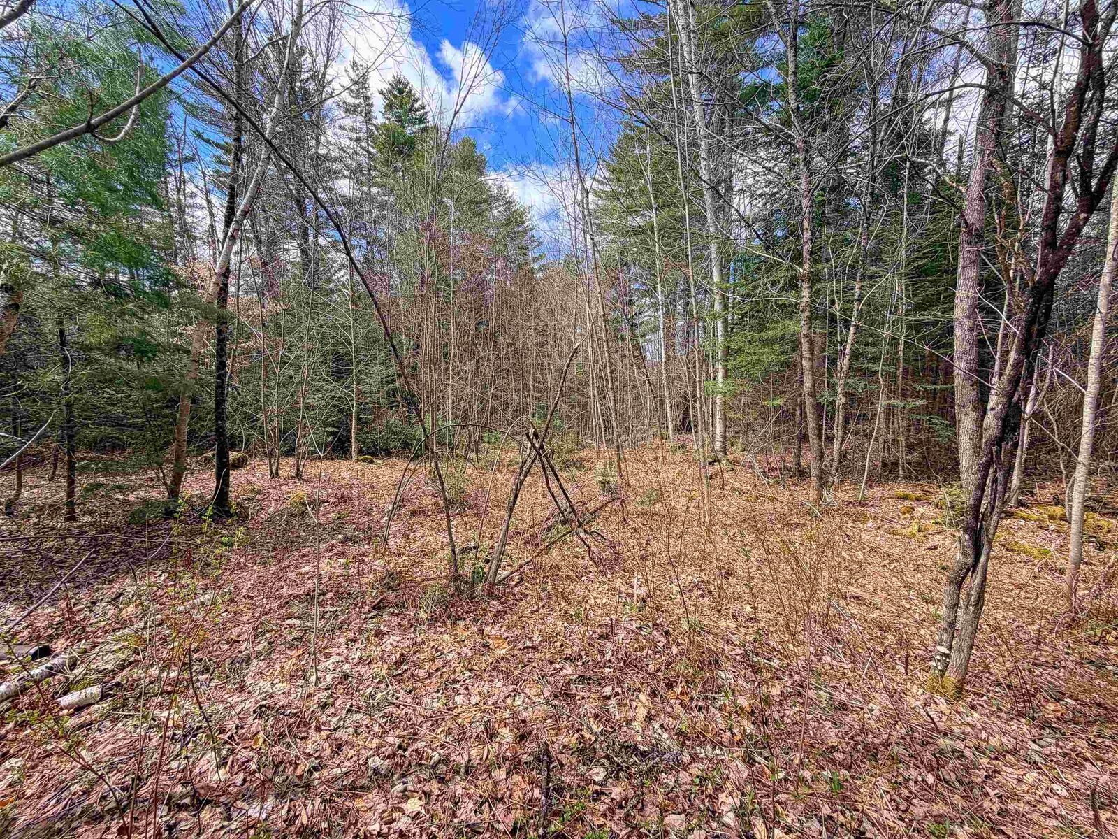 Property Photo:  538 Oregon Road  VT 05824 
