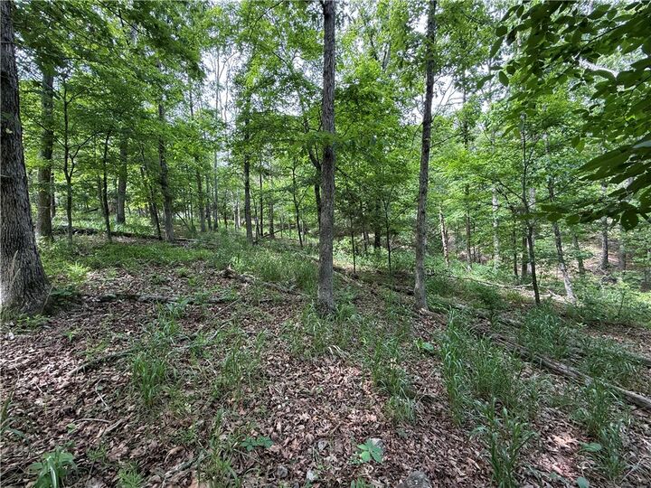 Property Photo:  Tbd Cr 206  AR 72632 