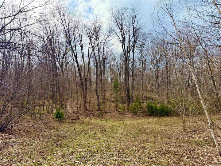 Property Photo:  0-A Maple Drive S  ON P0H 1S0 