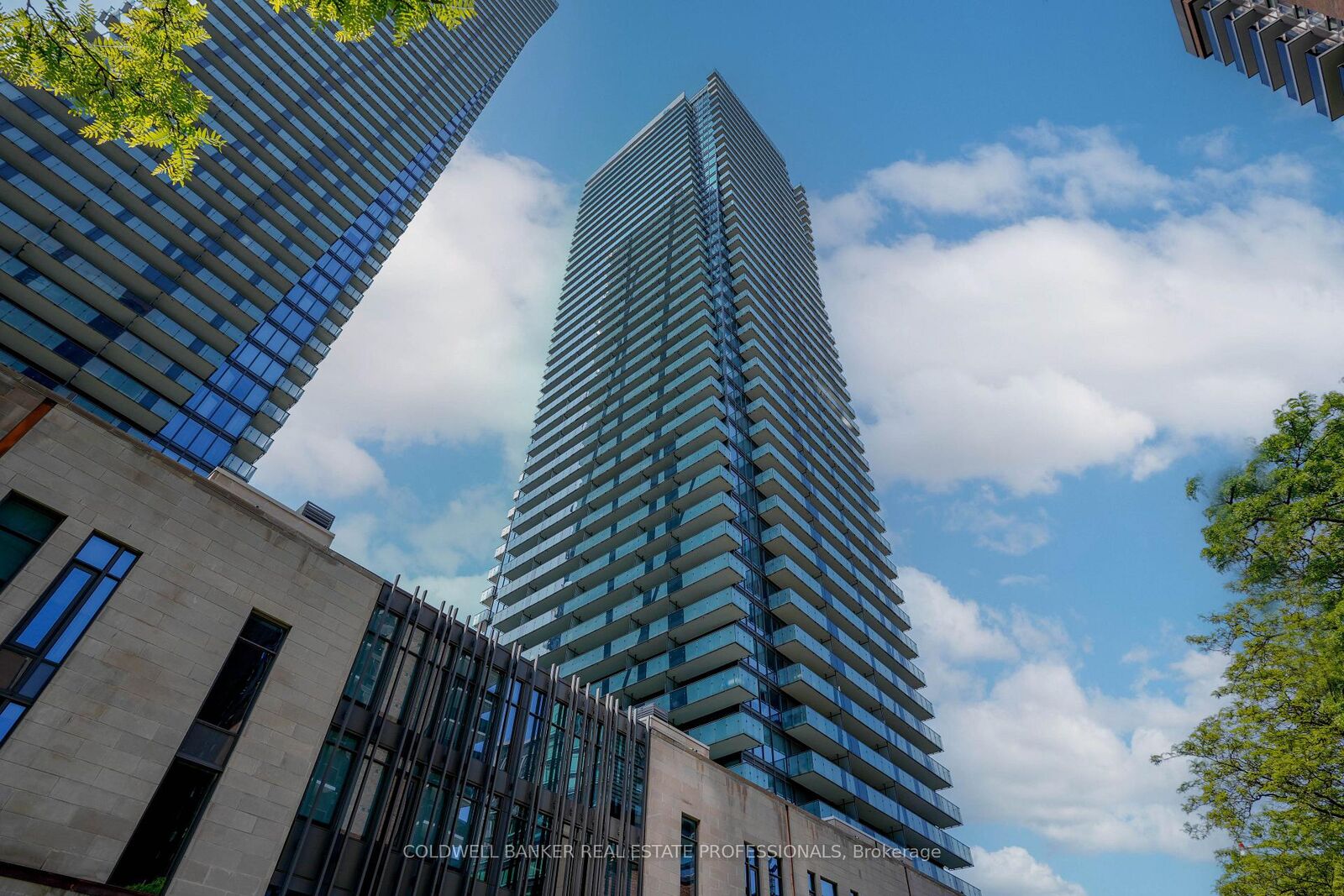 Property Photo: 65 St Mary Street 2202 ON M5S 0A6