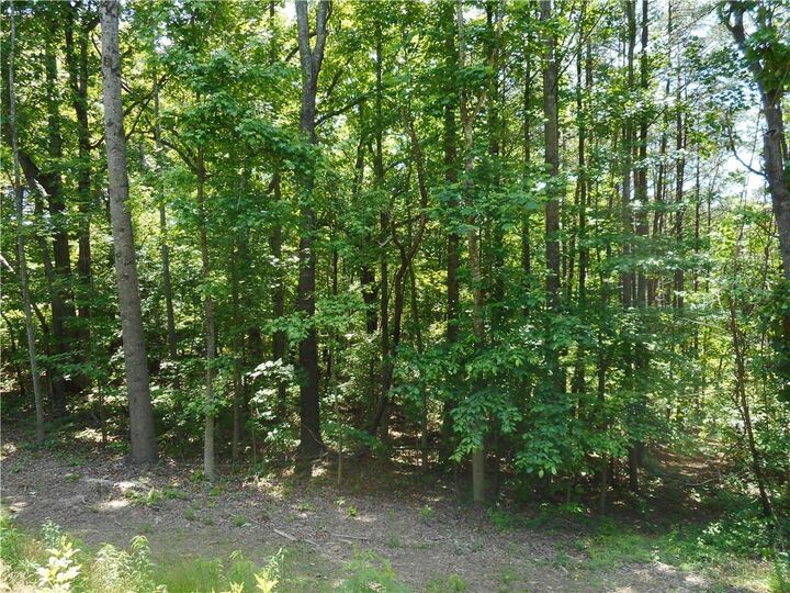 Property Photo:  0 Holly Street  GA 30115 