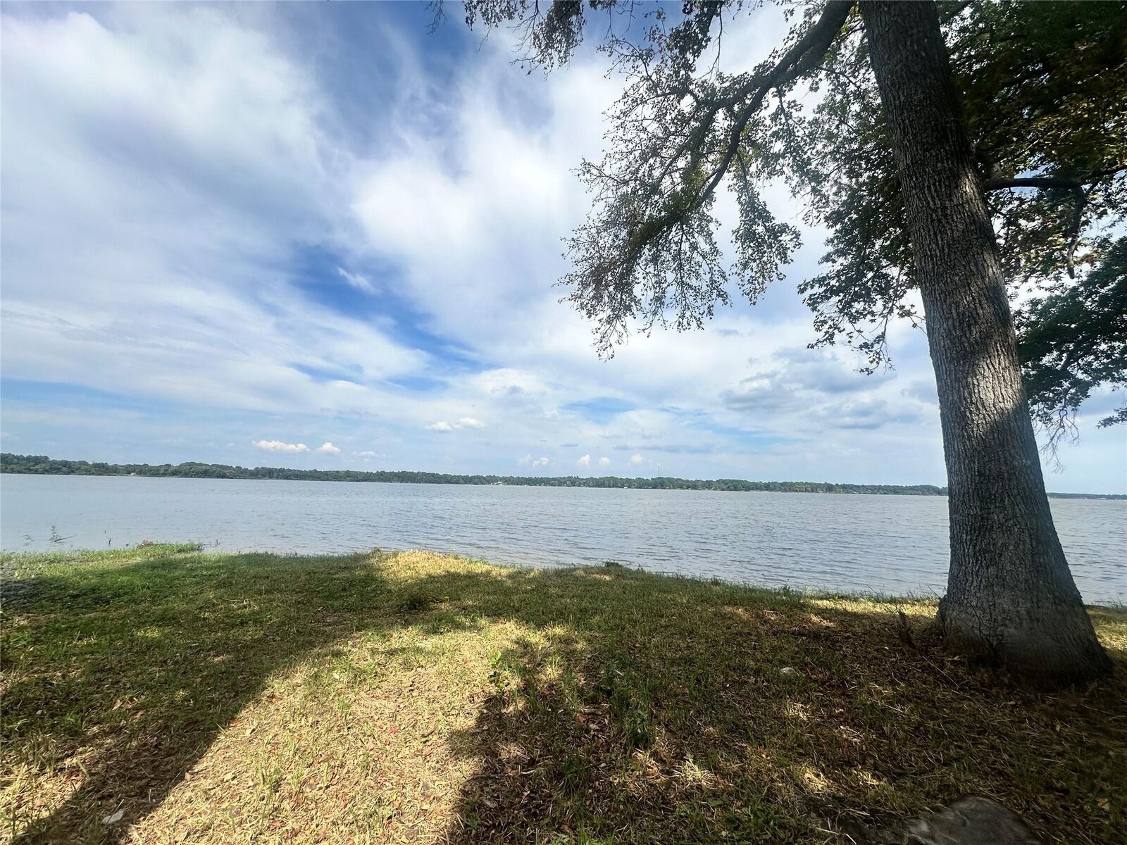 Property Photo:  3709 Pine Wood Trail  TX 75770 