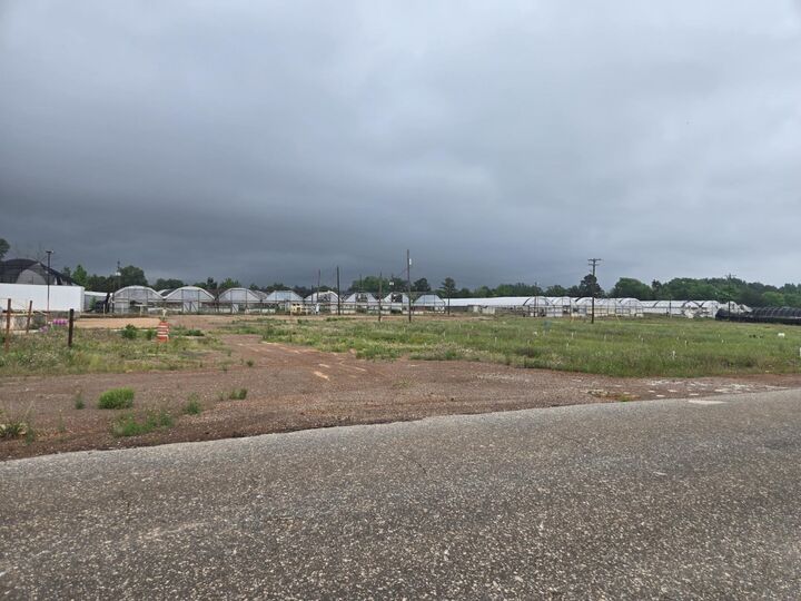 Property Photo: Tbd County Road 474 TX 75652