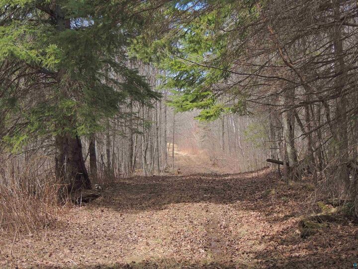 Property Photo:  Xxx Springdale Rd  MN 55615 