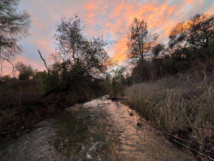 Property Photo:  20229 Troost Trail  CA 95960 