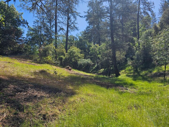 Property Photo: 19730 Wedemeyer Place CA 95713