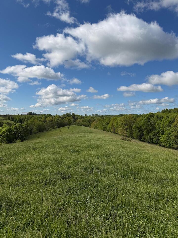 Property Photo:  14.17 Ac Chipman Ridge Road  KY 41097 