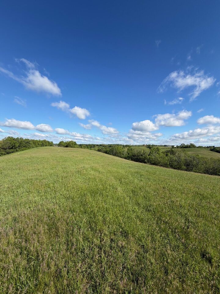 Property Photo:  32.28 Ac Chipman Ridge Road  KY 41097 
