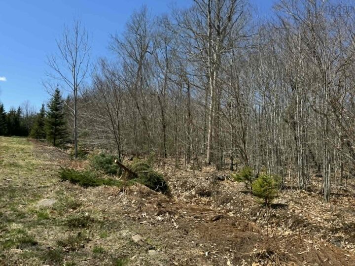Lot R-10 Kill Dog Cove Road — photo 1