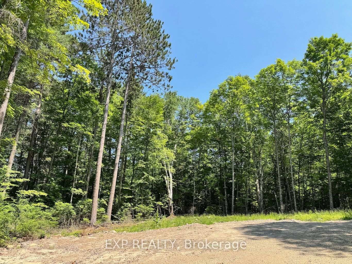 Property Photo:  Lot 17 Lakewoods Drive  ON K0J 1B0 