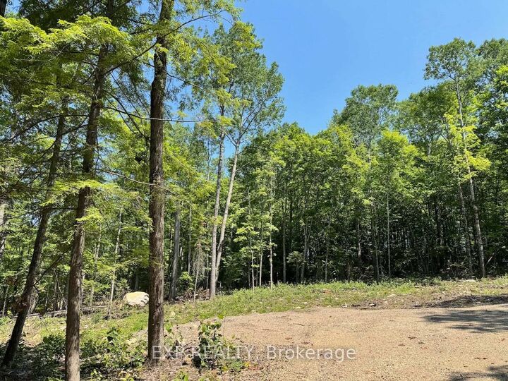 Property Photo:  Lot 2 Lakewoods Drive  ON K0J 1B0 