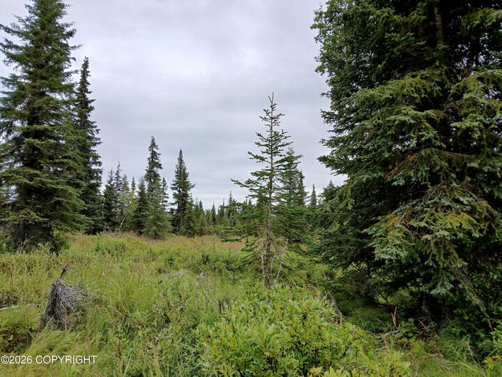 Property Photo:  L17 Marik Street  AK 99556 