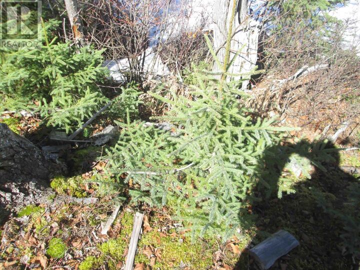 Property Photo:  290 Sorenson Avenue  ON P0T 1T0 