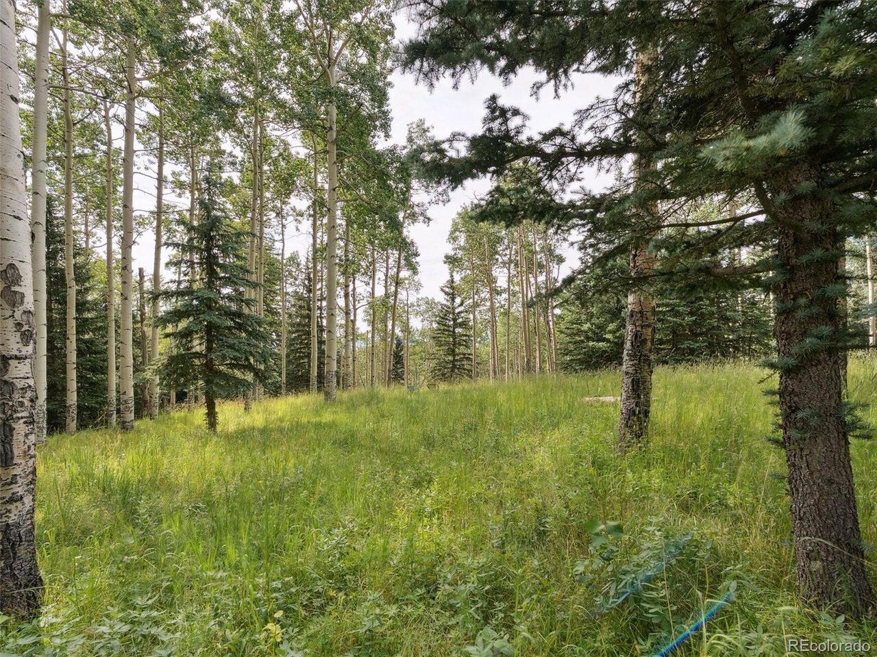 Property Photo: 0 Snyder Mountain Rd CO 80439