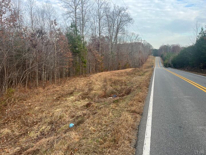 Property Photo: 0 Patrick Henry Hwy VA 23959