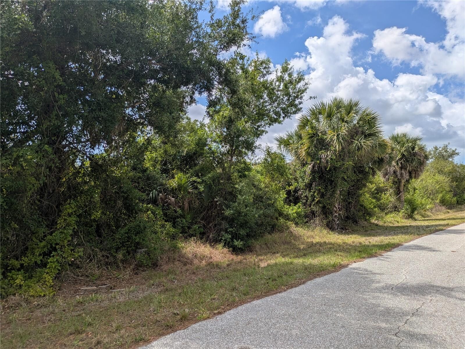 Property Photo:  7396 Widmer Street  FL 33981 