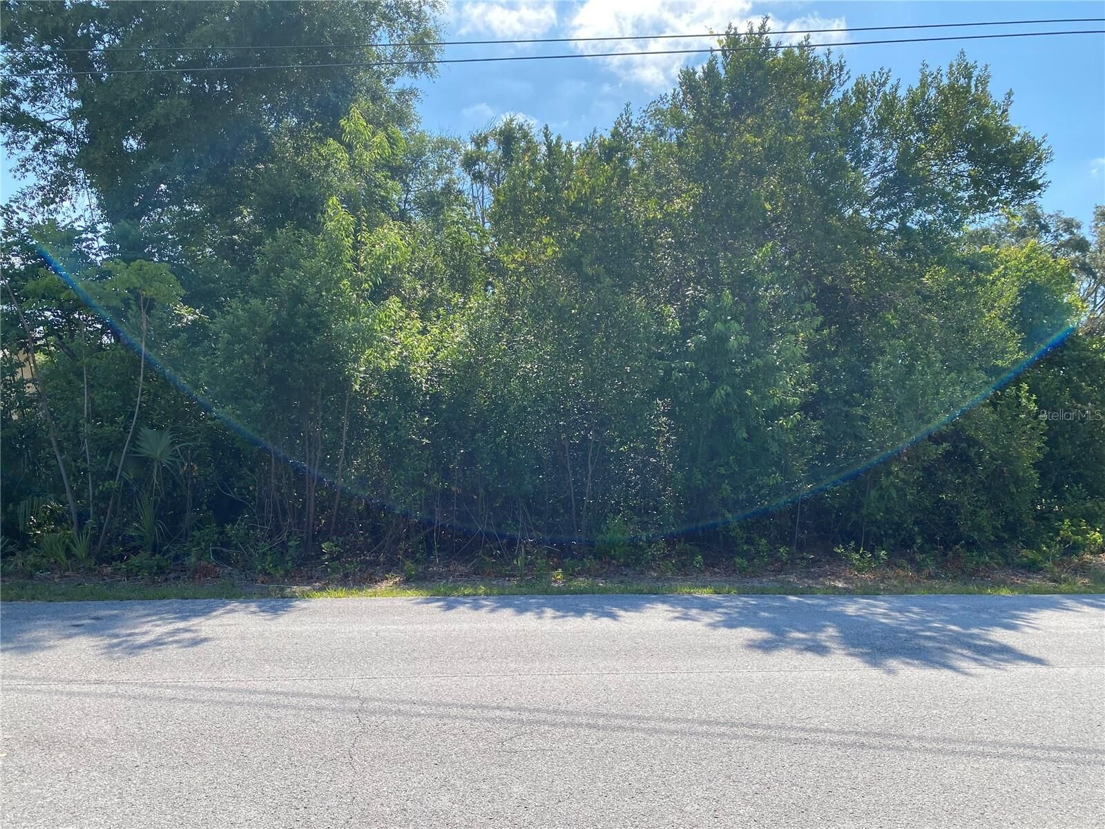 Property Photo:  Gatewood Avenue  FL 34608 