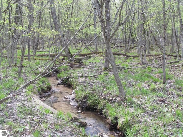 Property Photo:  1858 N Kings Highway  MI 49656 