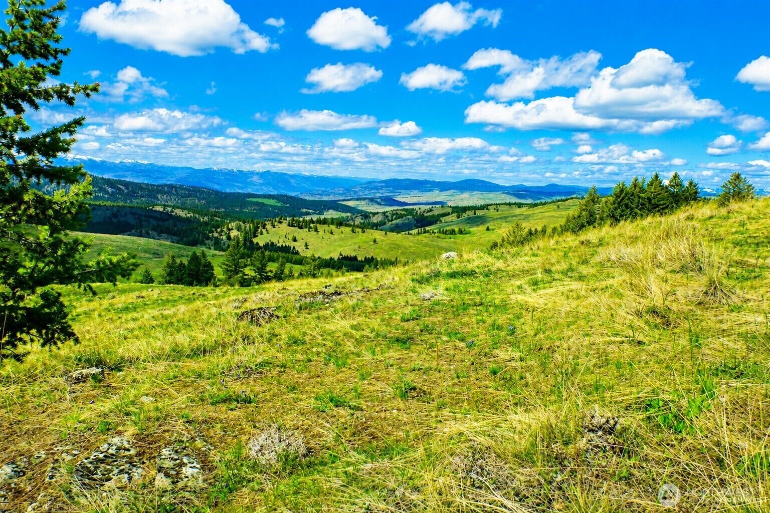Property Photo: 61 Janet Marie Road WA 98855