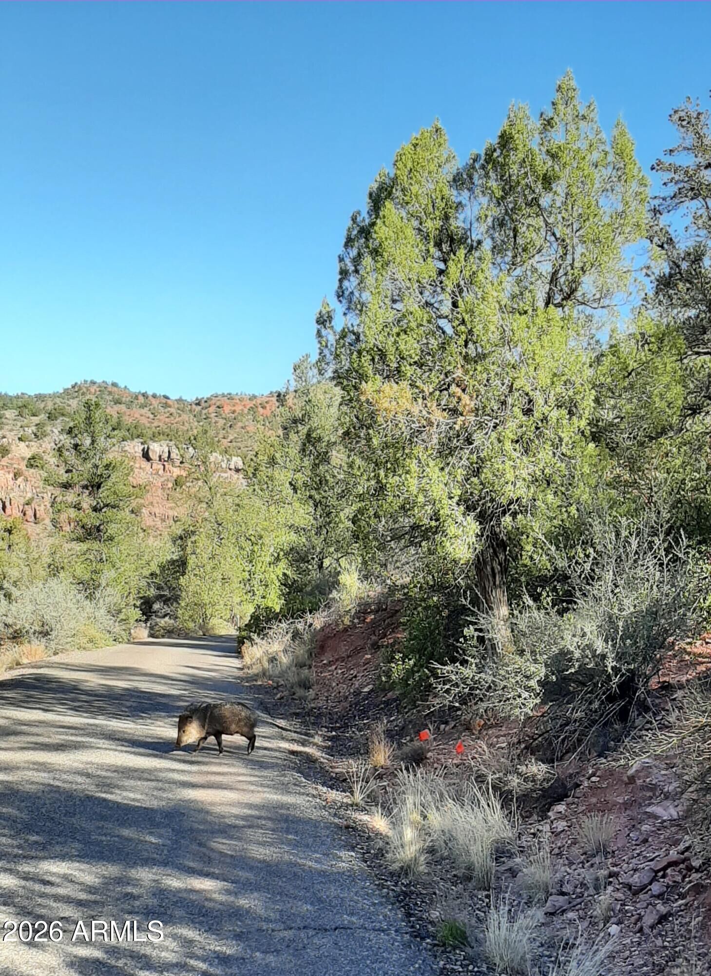 Property Photo:  60 Casa La Courta Road A  AZ 86336 