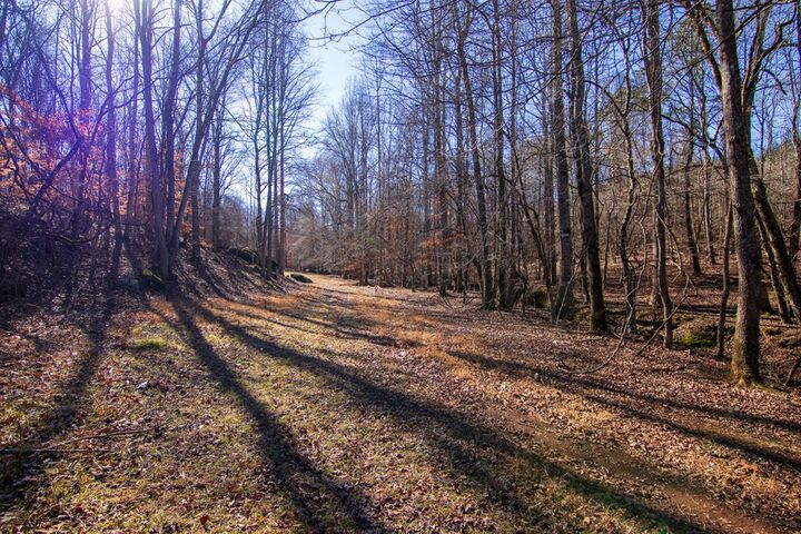 Property Photo:  Tract 6 - 0 Chestnut Grove Road  GA 31826 