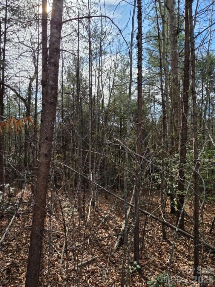 Property Photo:  Lot 6 Kerlee Lane  NC 28762 
