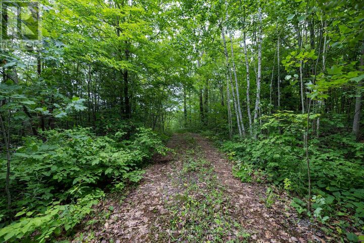 Property Photo:  173 612 Highway  ON P0C 1H0 