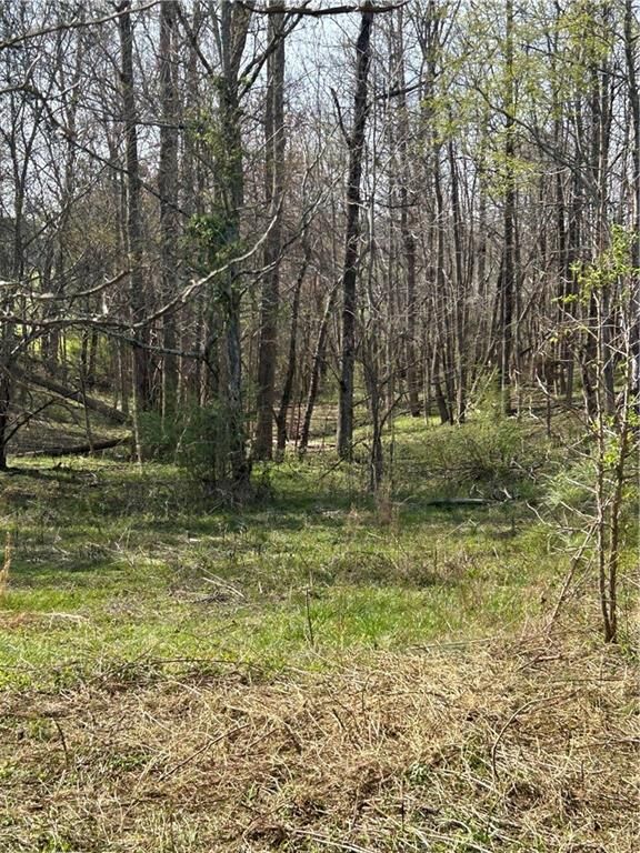 Property Photo: 0 Browning Road GA 30139