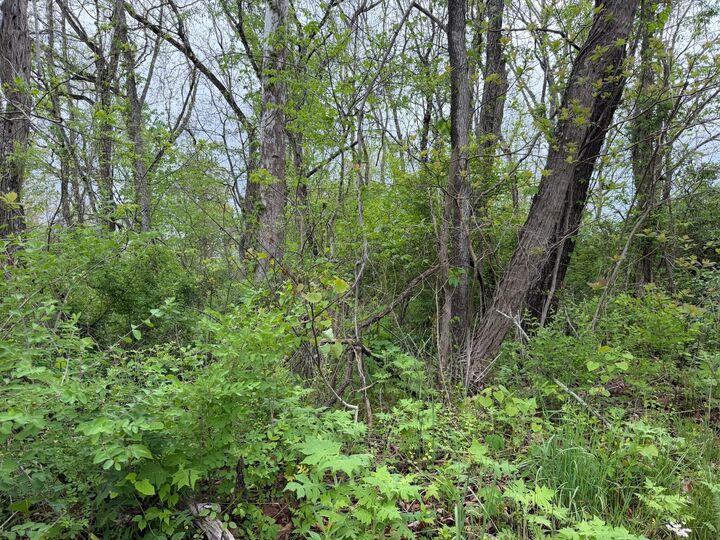 Property Photo:  Alta Dr  WV 24910 