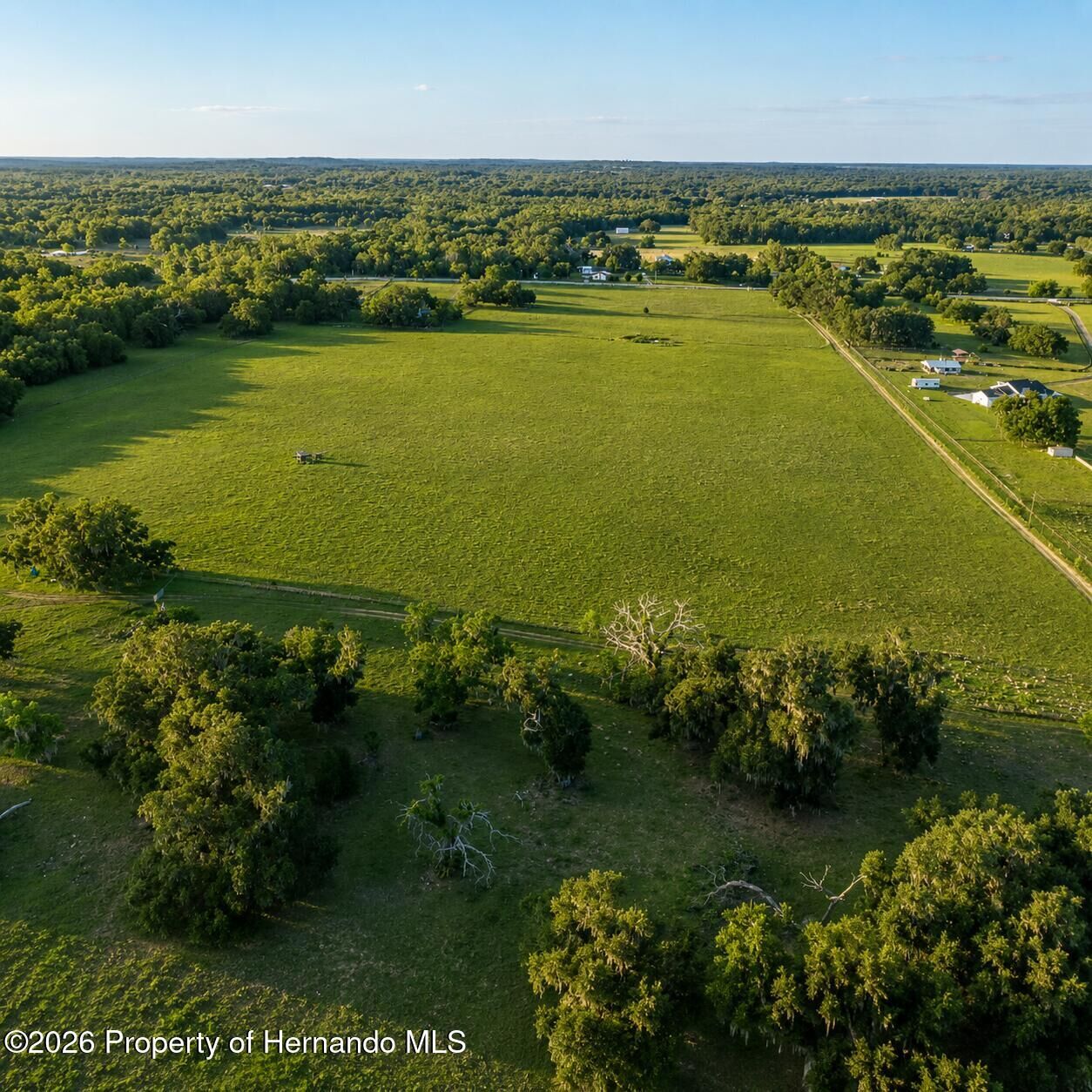 Property Photo: 0 Mondon Hill Rd. FL 34601