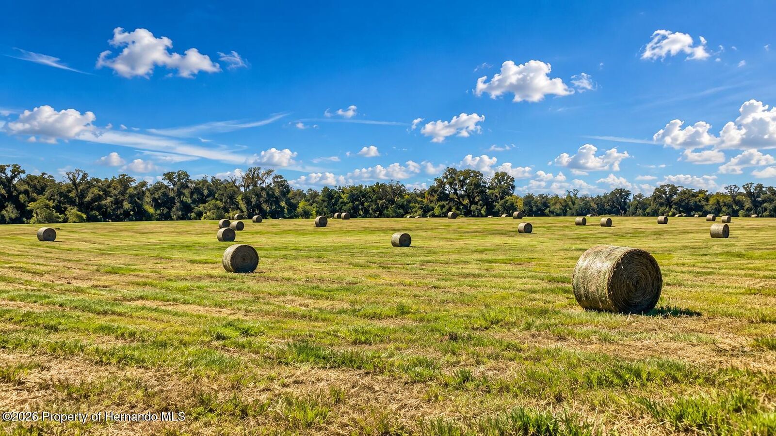 Property Photo:  0 Mondon Hill Rd.  FL 34601 