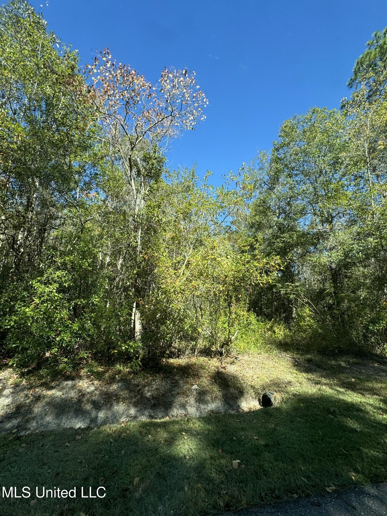 Property Photo:  Indian Street  MS 39520 