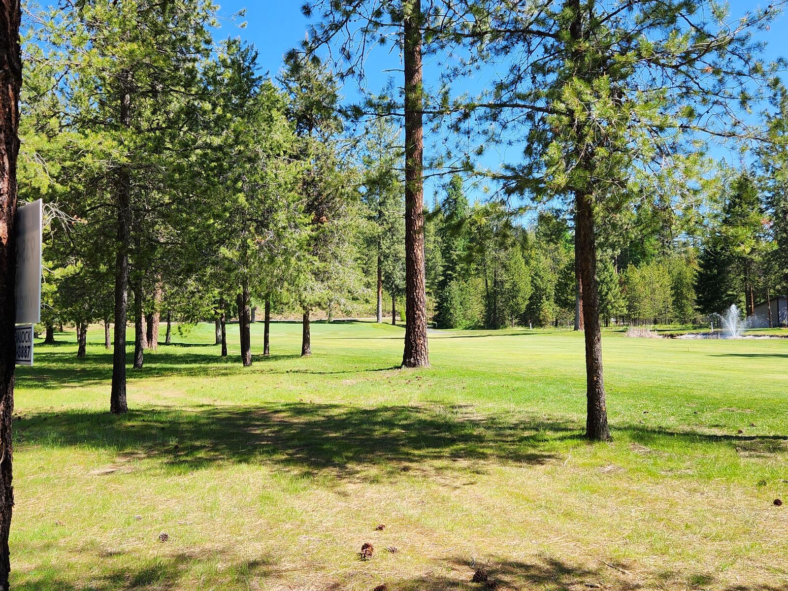 Property Photo:  Lot 4 Couples Ct  WA 99109 