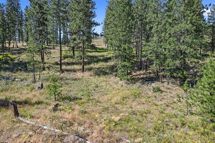 Property Photo:  715 Palmer Ln  WA 99109 