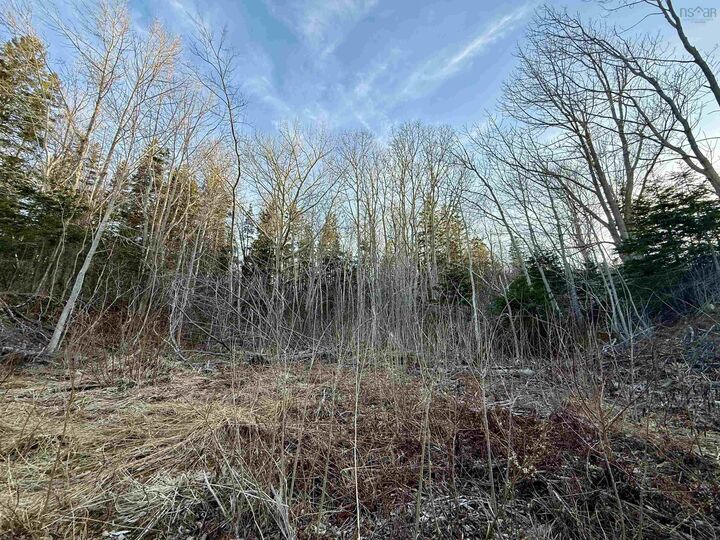 Photo de la propriété:  Lot Highway 4  NS B0H 1K0 