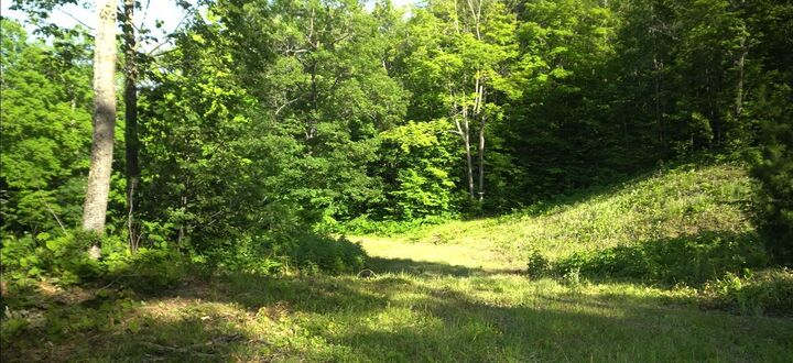 Property Photo:  83xxx - Lot 11 Ashwabay Road  WI 54814 