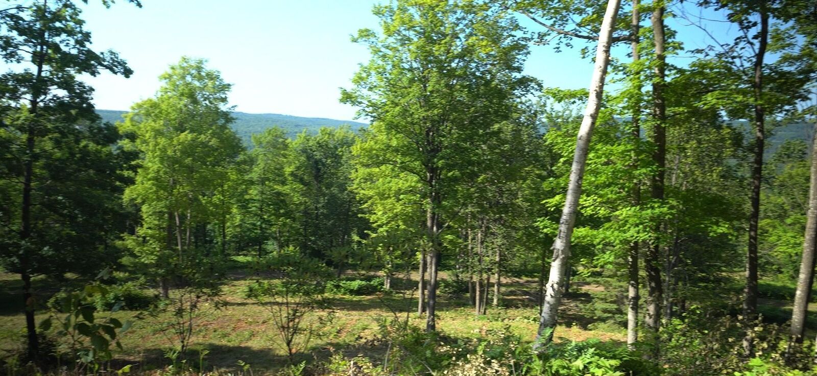 Property Photo:  83xxx - Lot 12 Ashwabay Road  WI 54814 
