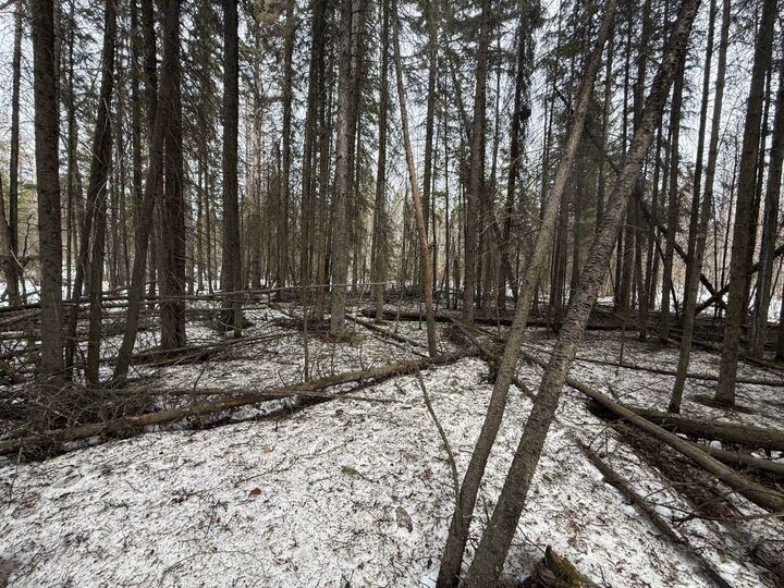 Property Photo:  Twp Rd 662  AB T0A 0M0 